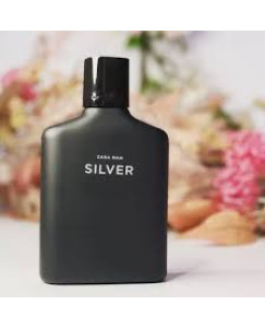 ZARA SILVER 100ML